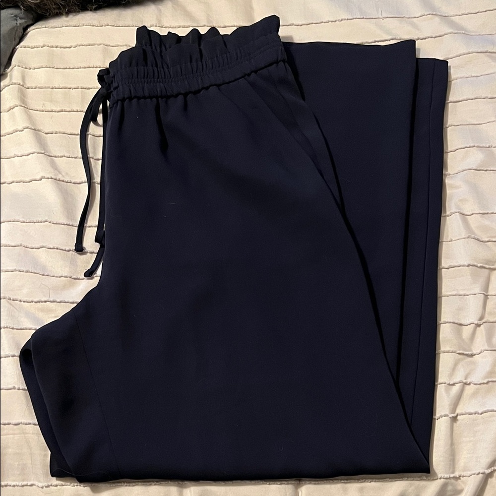 Express Navy Wide Leg Pants